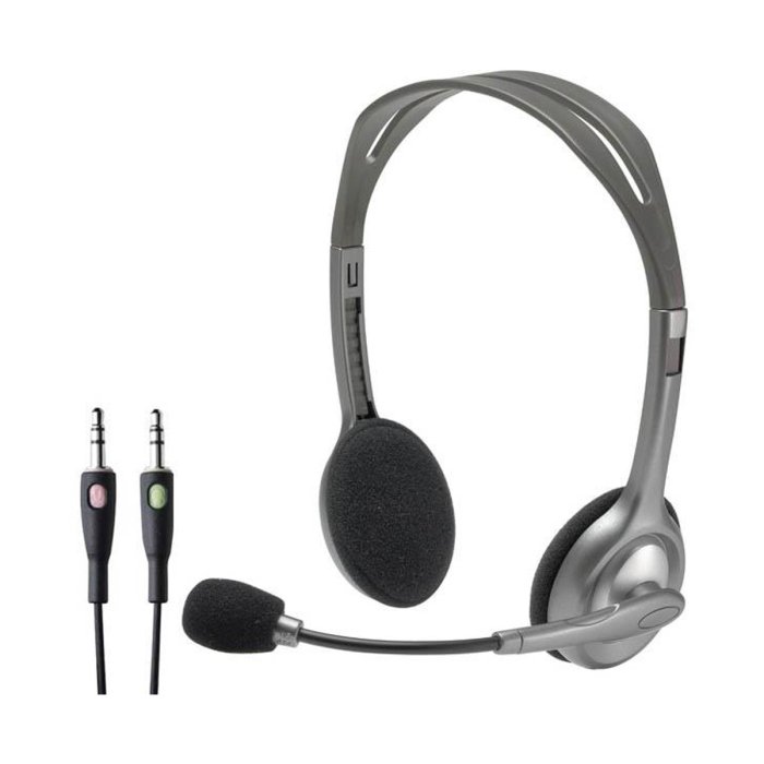Logitech H110 Stereo Headset.