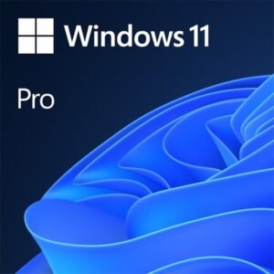 Microsoft Windows 10 / 11 Pro 64-bit OEM DVD.